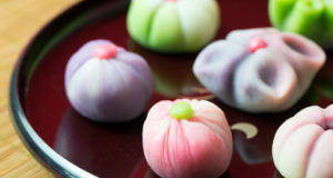 Wagashi Introduction