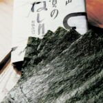 Nori_SaganoHashiri